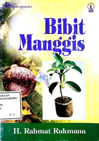 Image of BIBIT MANGGIS