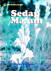 Image of SEDAP MALAM